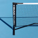 Filet de Pickleball Head