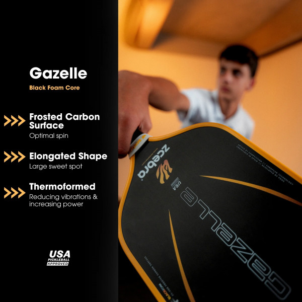 Zcebra Gazelle